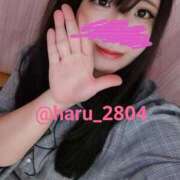 ヒメ日記 2025/10/26 15:48 投稿 はる☆ 豊橋豊川ちゃんこ