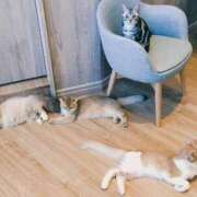 ヒメ日記 2025/10/30 19:02 投稿 はる☆ 豊橋豊川ちゃんこ