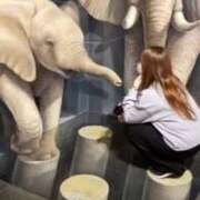 ヒメ日記 2025/11/01 10:42 投稿 はる☆ 豊橋豊川ちゃんこ