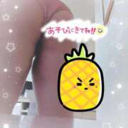 ヒメ日記 2025/11/05 10:42 投稿 はる☆ 豊橋豊川ちゃんこ