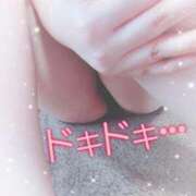 ヒメ日記 2025/11/08 15:08 投稿 はる☆ 豊橋豊川ちゃんこ