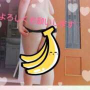 ヒメ日記 2025/11/21 11:26 投稿 はる☆ 豊橋豊川ちゃんこ