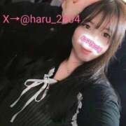 ヒメ日記 2025/11/25 13:18 投稿 はる☆ 豊橋豊川ちゃんこ