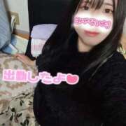 ヒメ日記 2025/12/19 13:42 投稿 はる☆ 豊橋豊川ちゃんこ