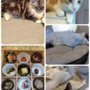 ヒメ日記 2026/01/08 23:12 投稿 はる☆ 豊橋豊川ちゃんこ