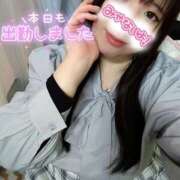 ヒメ日記 2026/02/07 13:18 投稿 はる☆ 豊橋豊川ちゃんこ