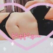 ヒメ日記 2026/02/08 12:42 投稿 はる☆ 豊橋豊川ちゃんこ