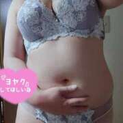 ヒメ日記 2026/03/01 10:32 投稿 はる☆ 豊橋豊川ちゃんこ