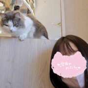 ヒメ日記 2026/05/01 13:12 投稿 はる☆ 豊橋豊川ちゃんこ