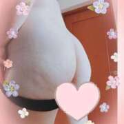 ヒメ日記 2026/05/04 13:02 投稿 はる☆ 豊橋豊川ちゃんこ