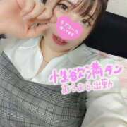 ヒメ日記 2026/05/06 13:22 投稿 はる☆ 豊橋豊川ちゃんこ