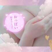 ヒメ日記 2026/06/23 10:32 投稿 はる☆ 豊橋豊川ちゃんこ
