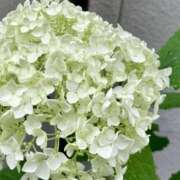 ヒメ日記 2025/06/10 14:39 投稿 なつみ 出会い系人妻ネットワーク さいたま～大宮編