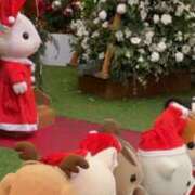 ヒメ日記 2024/12/13 17:00 投稿 まゆか 奥鉄オクテツ大阪