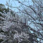 ヒメ日記 2025/03/03 22:23 投稿 道明寺　りあ エテルナ京都