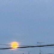 ヒメ日記 2025/07/10 19:47 投稿 道明寺　りあ エテルナ京都