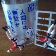 ヒメ日記 2025/02/20 20:04 投稿 西沢 しずえ エテルナ京都