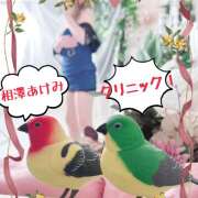 ヒメ日記 2025/04/28 19:10 投稿 相澤 あけみ エテルナ京都