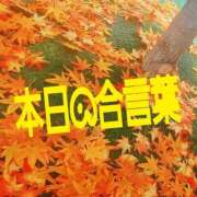 ヒメ日記 2025/11/19 10:34 投稿 はなび 熟女の風俗最終章 本厚木店