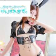 ヒメ日記 2026/04/14 12:33 投稿 セイラ ドMなバニーちゃん大宮店