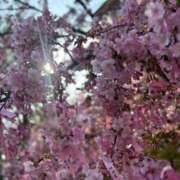 ヒメ日記 2025/02/28 16:05 投稿 こころ 多恋人 新宿店