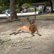 ヒメ日記 2025/06/21 10:02 投稿 こころ 多恋人 新宿店