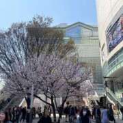 ヒメ日記 2026/03/25 12:21 投稿 こころ 多恋人 新宿店