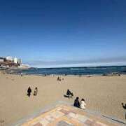 ヒメ日記 2026/04/06 13:39 投稿 こころ 多恋人 新宿店