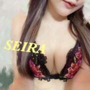 ヒメ日記 2025/02/03 19:44 投稿 SEIRA GINGIRA☆TOKYO～ギンギラ東京～