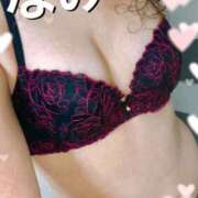 ヒメ日記 2025/08/06 11:01 投稿 島田なみ ミセス大阪日本橋店