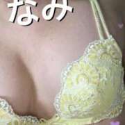 ヒメ日記 2026/02/01 10:38 投稿 島田なみ ミセス大阪日本橋店