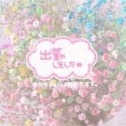 ヒメ日記 2025/03/01 11:08 投稿 まほ とある風俗店♡やりすぎさーくる新宿大久保店♡で色んな無料オプションしてみました