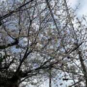 ヒメ日記 2025/03/28 20:42 投稿 まほ とある風俗店♡やりすぎさーくる新宿大久保店♡で色んな無料オプションしてみました