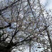 ヒメ日記 2025/03/28 21:00 投稿 まほ とある風俗店♡やりすぎさーくる新宿大久保店♡で色んな無料オプションしてみました