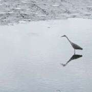 ヒメ日記 2025/05/31 14:29 投稿 瑞穂 クラブ貴公子