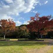 ヒメ日記 2025/11/14 12:55 投稿 瑞穂 クラブ貴公子