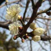 ヒメ日記 2026/02/06 12:30 投稿 瑞穂 クラブ貴公子