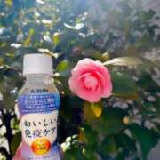 ヒメ日記 2026/03/09 17:33 投稿 瑞穂 クラブ貴公子