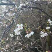 ヒメ日記 2026/03/23 22:13 投稿 瑞穂 クラブ貴公子