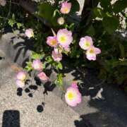 ヒメ日記 2026/05/05 15:13 投稿 瑞穂 クラブ貴公子