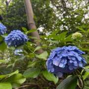 ヒメ日記 2026/06/26 11:58 投稿 瑞穂 クラブ貴公子