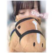 ヒメ日記 2024/12/13 23:33 投稿 りと 贅沢なひと時