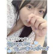 ヒメ日記 2025/01/19 07:32 投稿 りと 贅沢なひと時