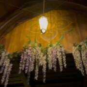 ヒメ日記 2025/08/17 21:15 投稿 悠(ゆう) 黒薔薇