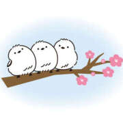 ヒメ日記 2025/01/16 02:06 投稿 北村まり 禁断のメンズエステR-18堺・南大阪店