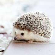 ヒメ日記 2025/03/23 00:12 投稿 北村まり 禁断のメンズエステR-18堺・南大阪店