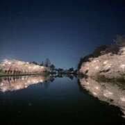 ヒメ日記 2025/04/15 17:51 投稿 北村まり 禁断のメンズエステR-18堺・南大阪店