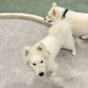 ヒメ日記 2025/02/26 10:03 投稿 ここみ sexis小山佐野店