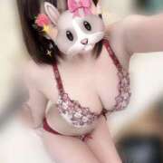 ヒメ日記 2025/10/12 02:38 投稿 みみ クラブバレンタイン神戸西店