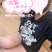 ヒメ日記 2025/07/29 20:16 投稿 みみ ギャルズネットワーク神戸